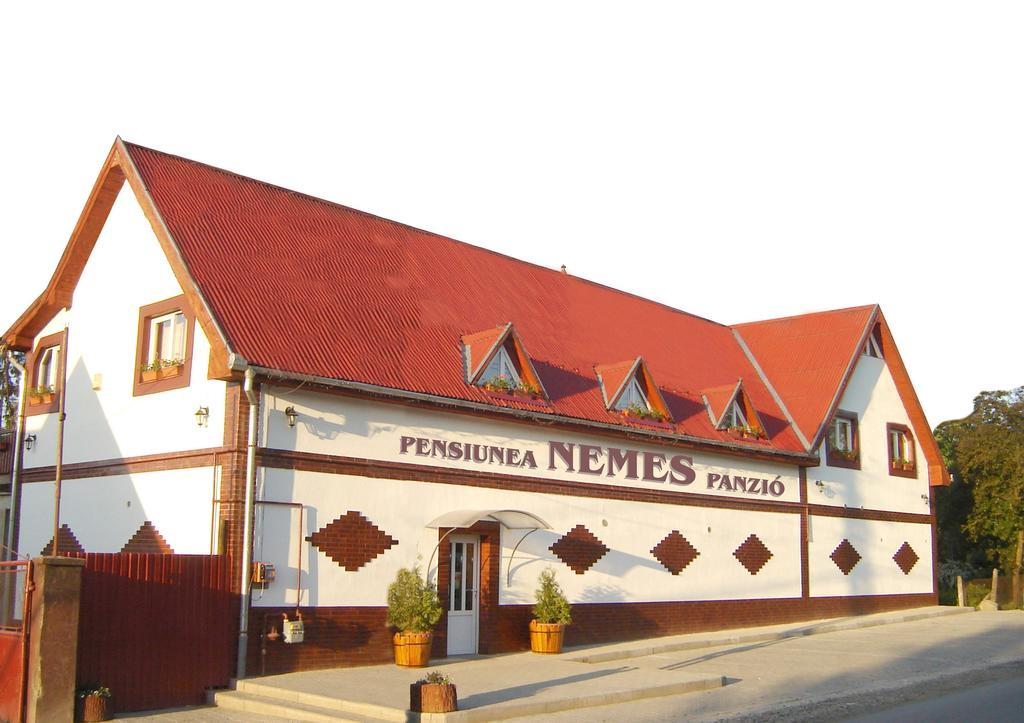 Acăţari Pensiunea Nemes Panzio المظهر الخارجي الصورة
